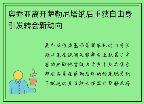 奥乔亚离开萨勒尼塔纳后重获自由身引发转会新动向 奥乔亚离开萨勒尼塔纳后重获自由身引发转会新动向
